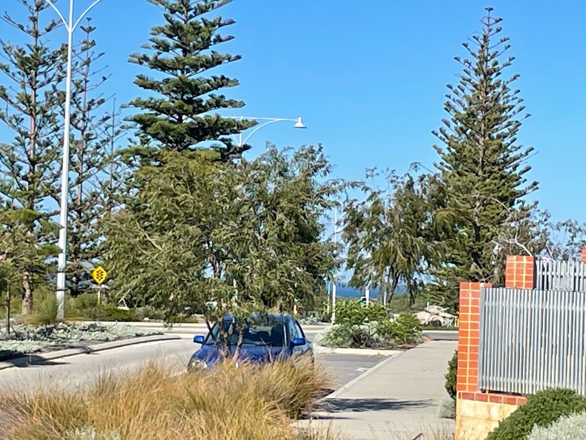31 Aviator Boulevard, Clarkson, WA, 6030, Clarkson - Thumbnail 2