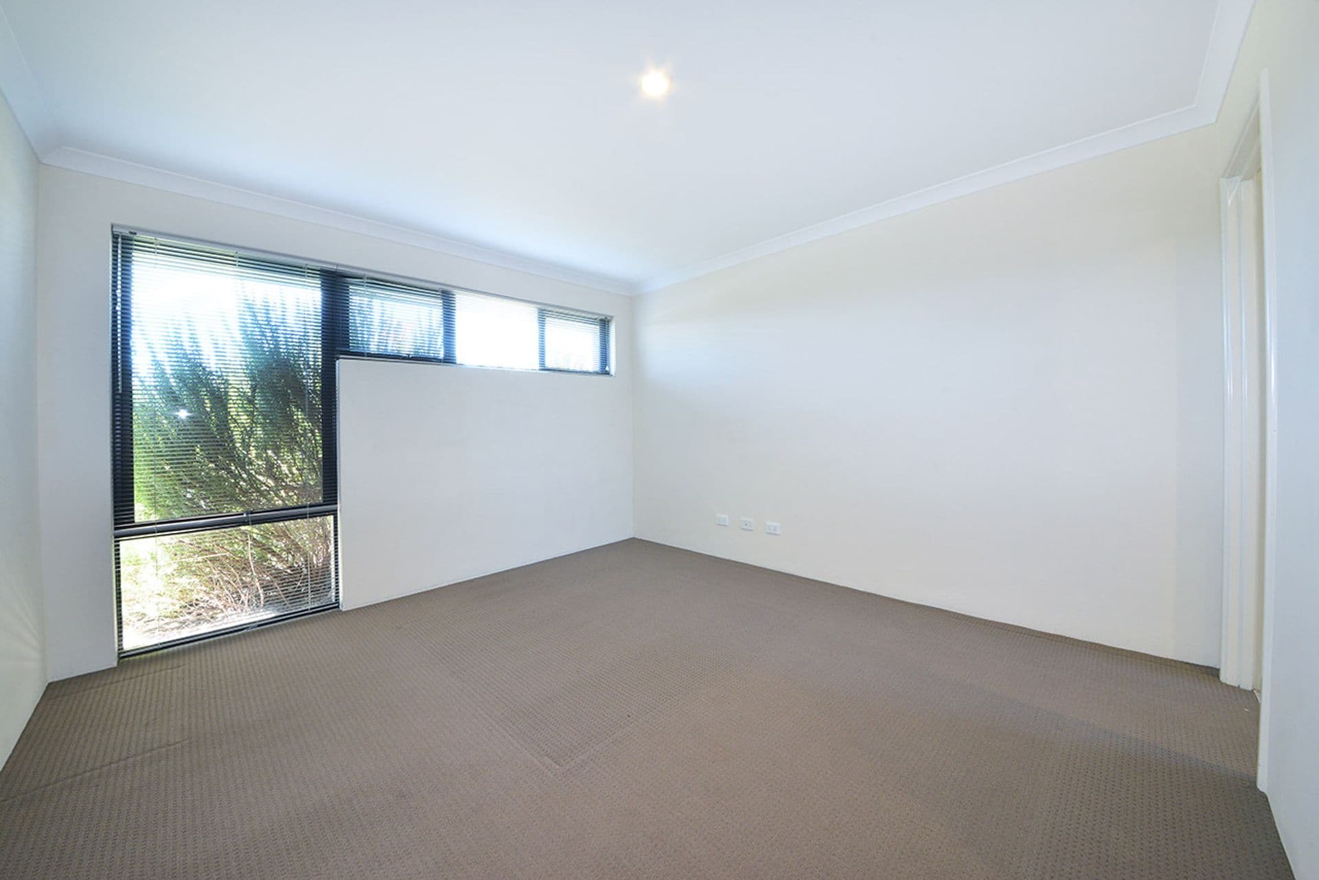 42 Halesworth Parade, Butler, WA, 6036, Butler - Thumbnail 5