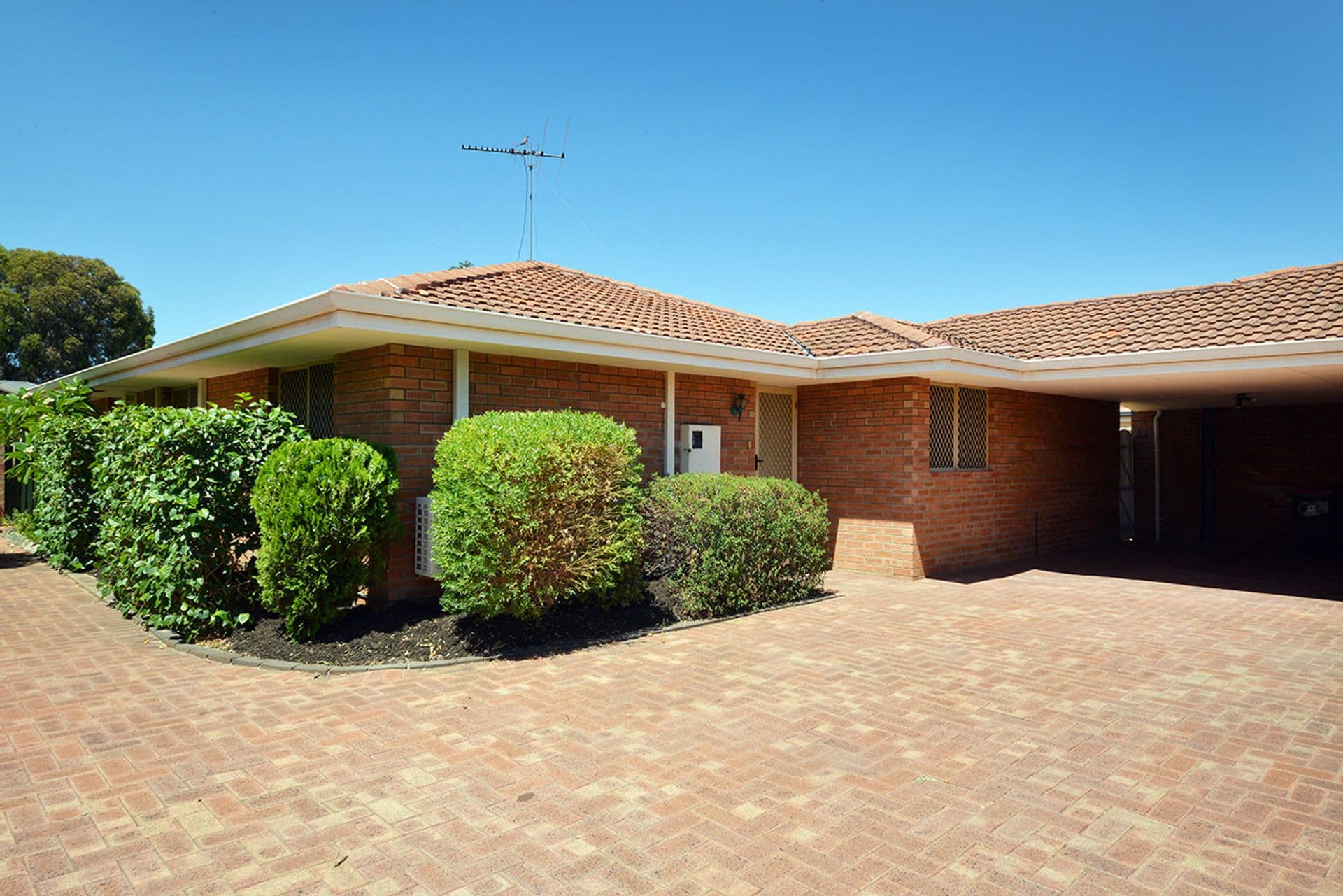 2/8 Green Avenue, Balcatta, WA, 6021, Balcatta - Image 1