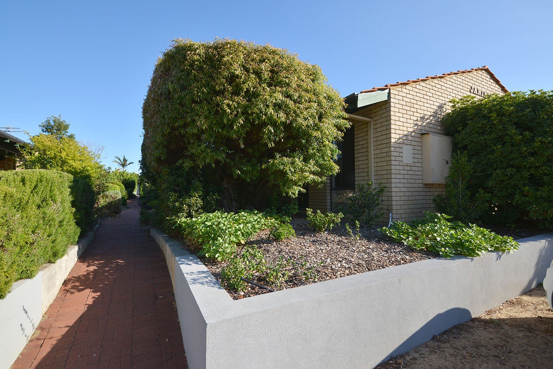 8/269-271 Cambridge Street, Wembley, WA, 6014, Wembley - Thumbnail 4