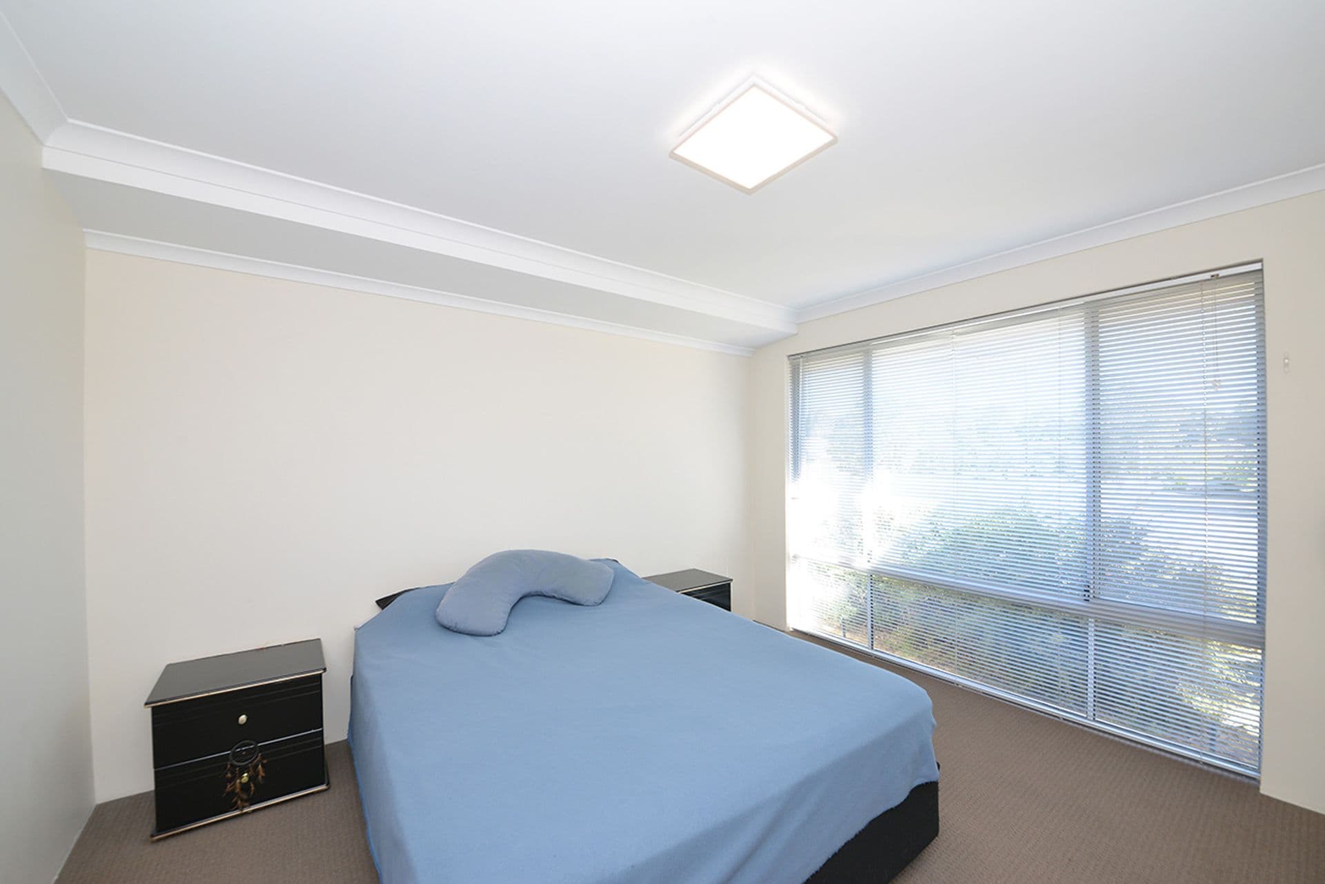 47 Hollyford Parade, Butler, WA, 6036, Butler - Thumbnail 4