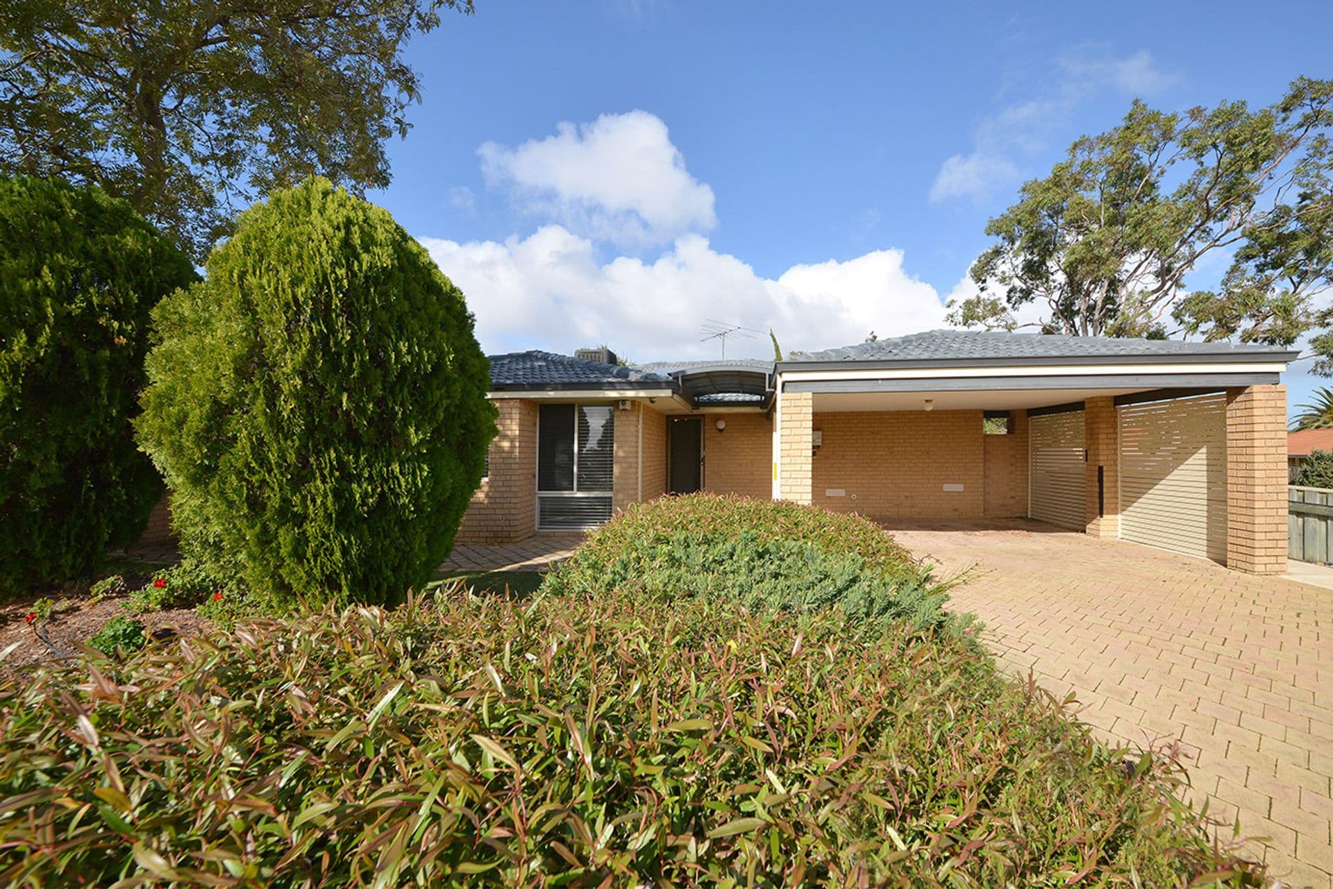 7 Pelly Cove, Joondalup, WA, 6027, Joondalup - Thumbnail 2