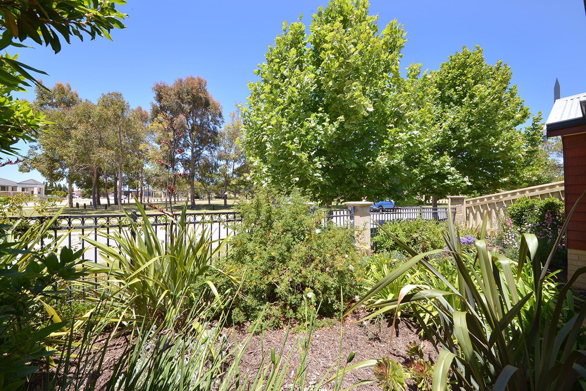 21 Alston Way, Butler, WA, 6036, Butler - Thumbnail 3