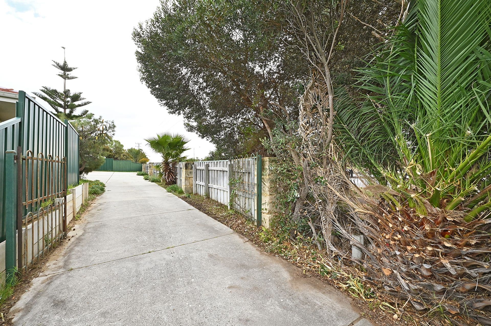 37B Haskell Gardens, Clarkson, WA, 6030, Clarkson - Thumbnail 3