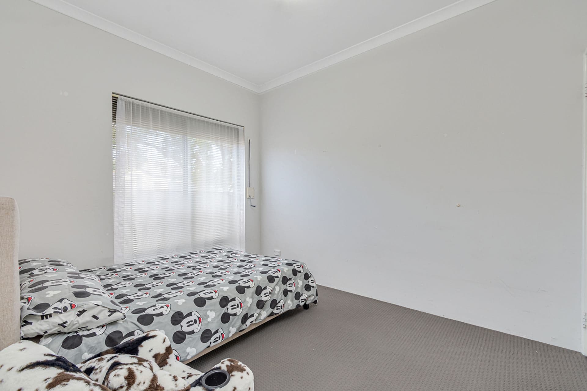 16 Carrigallen Street, Ridgewood, WA, 6030, Ridgewood - Thumbnail 4