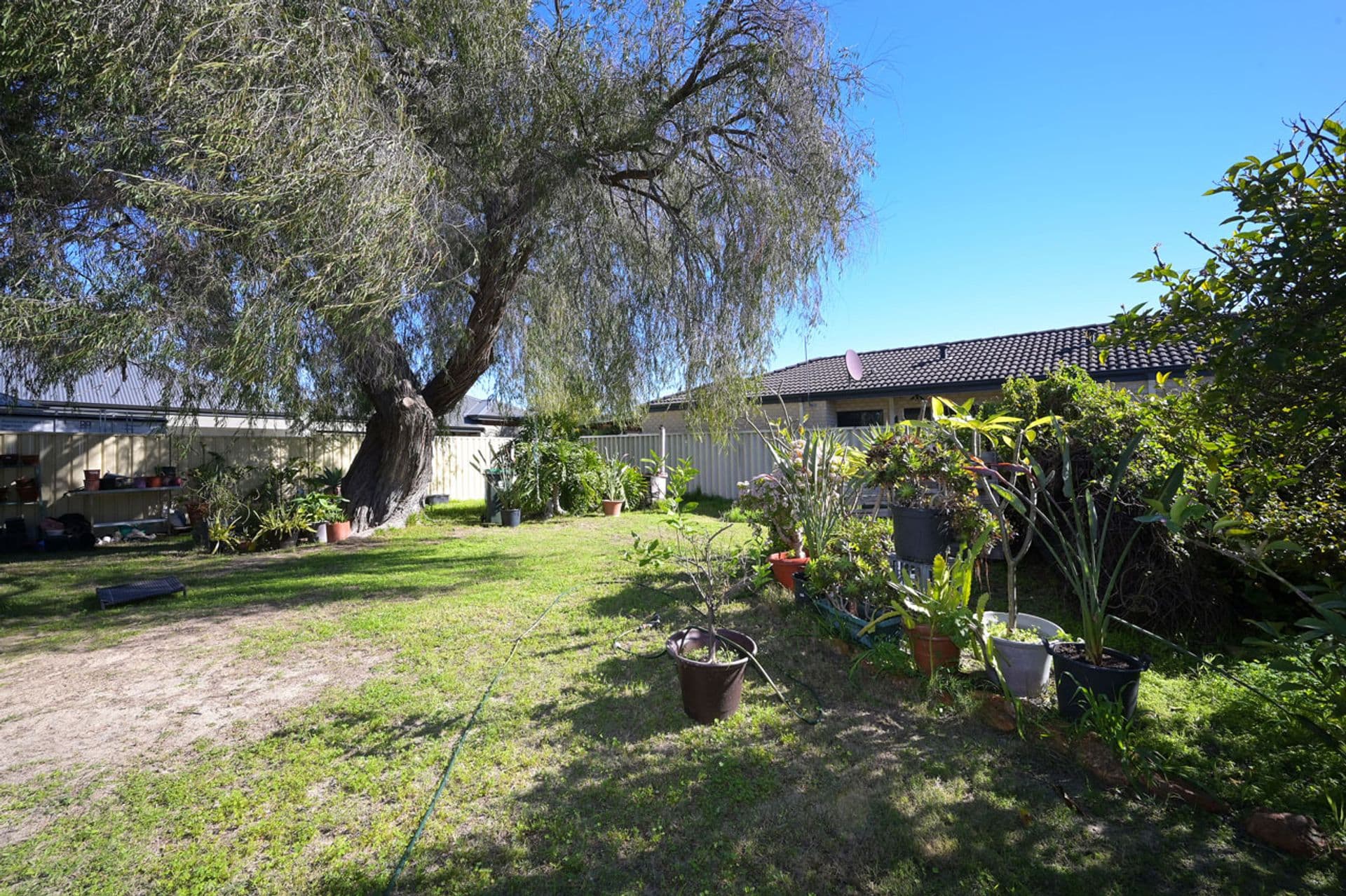 7 Lowther Terrace, Nollamara, WA, 6061, Nollamara - Thumbnail 8
