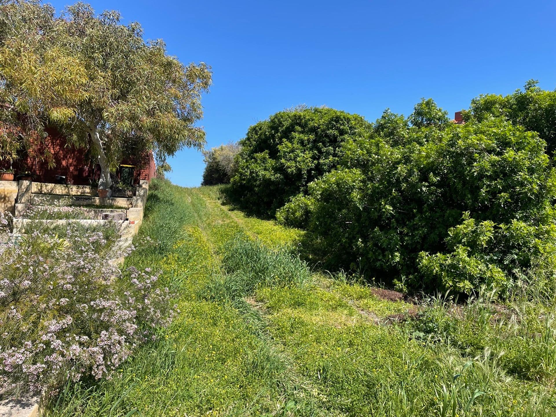 4 View Terrace, Quinns Rocks, WA, 6030, Quinns Rocks - Thumbnail 2