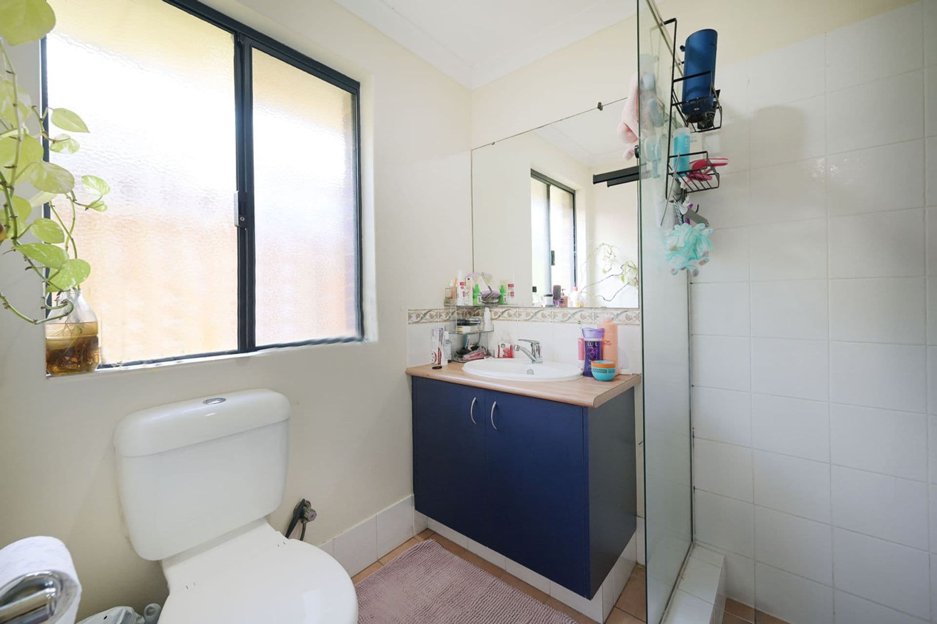 19 Alston Way, Butler, WA, 6036, Butler - Thumbnail 5