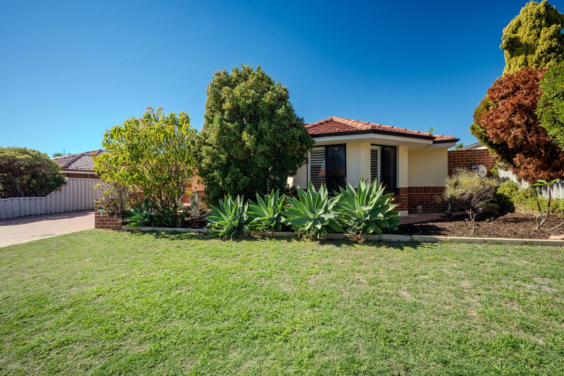 7 Galvin Heights, Clarkson, WA, 6030, Clarkson - Thumbnail 3
