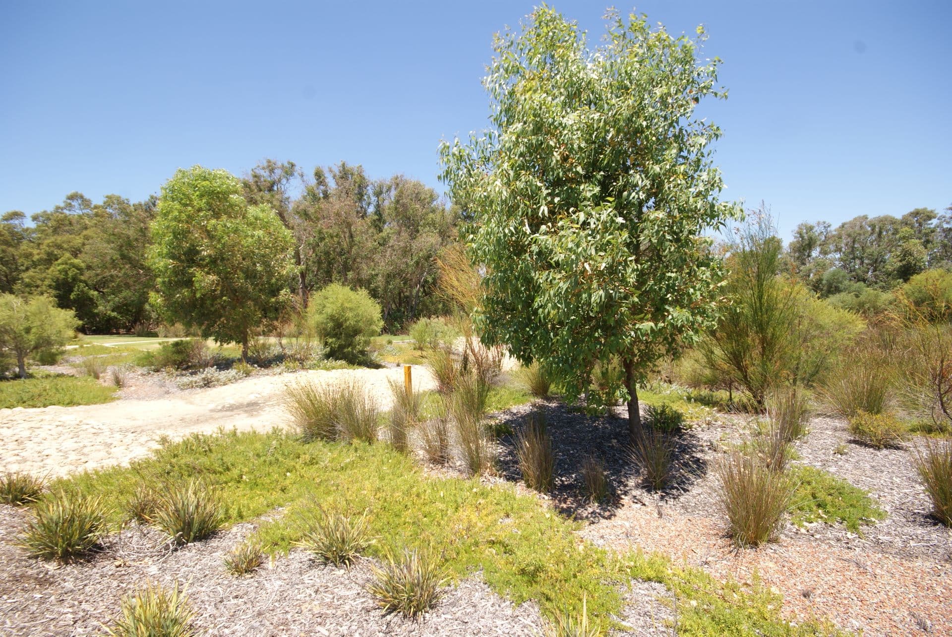 20/61 Rockingham Beach Road, Rockingham, WA, 6168, Wellard - Thumbnail 2