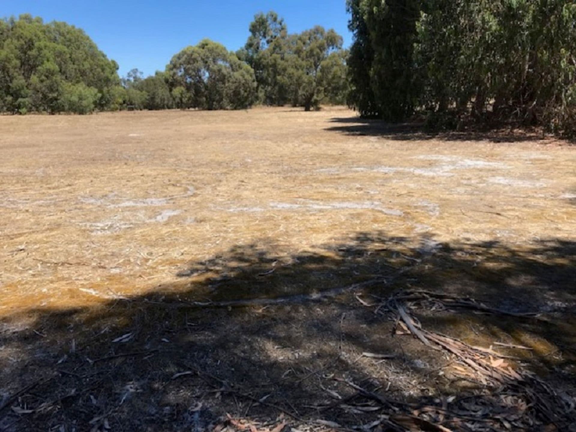 Lot 25 Wisteria Drive, Quindalup, WA, 6281, Quindalup - Thumbnail 2
