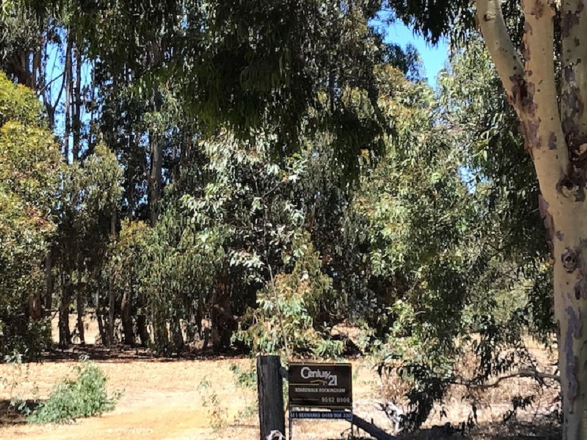 Lot 25 Wisteria Drive, Quindalup, WA, 6281, Quindalup - Thumbnail 3