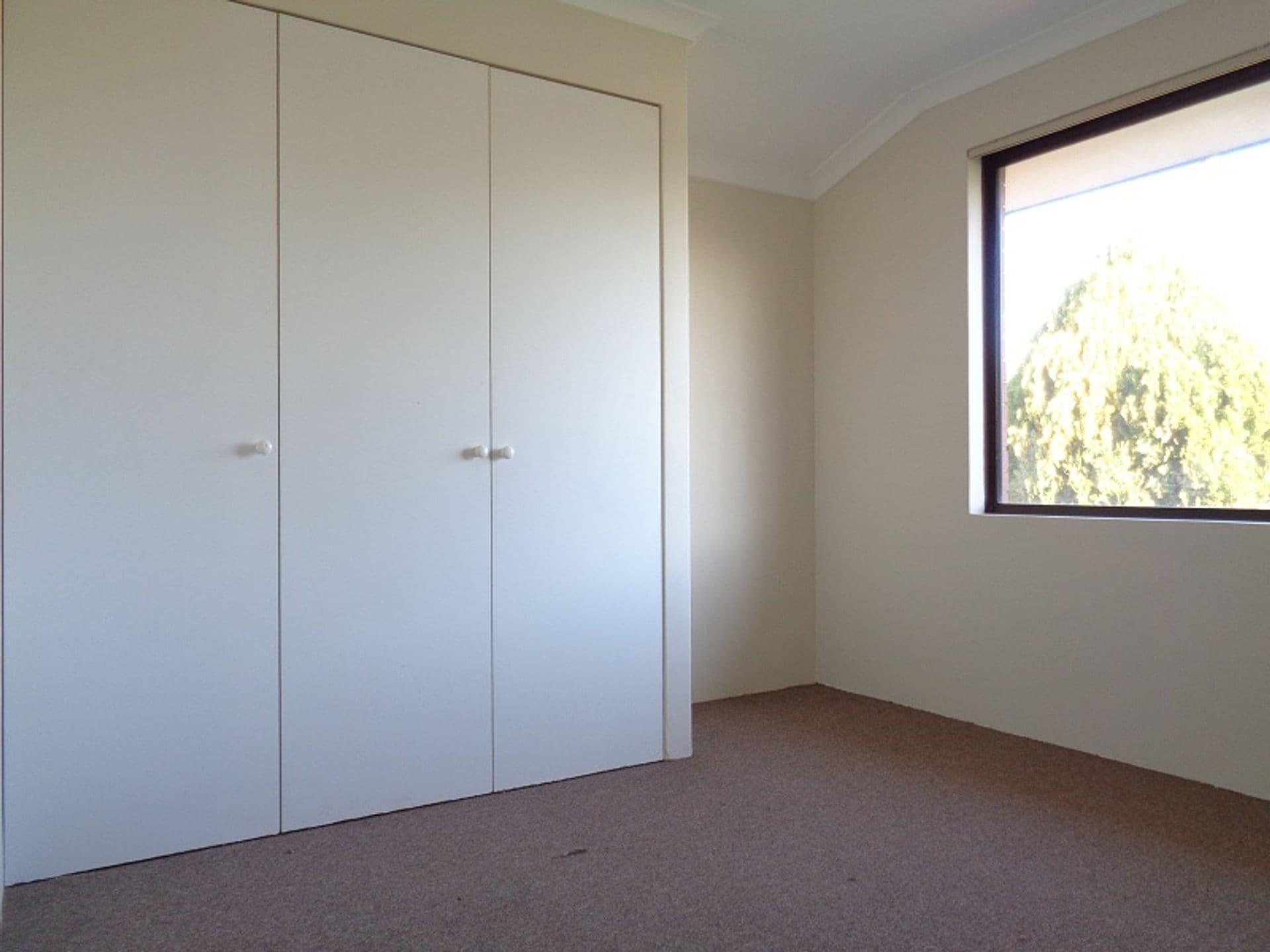 11 Murchison Road, Cooloongup, WA, 6168, Cooloongup - Thumbnail 5
