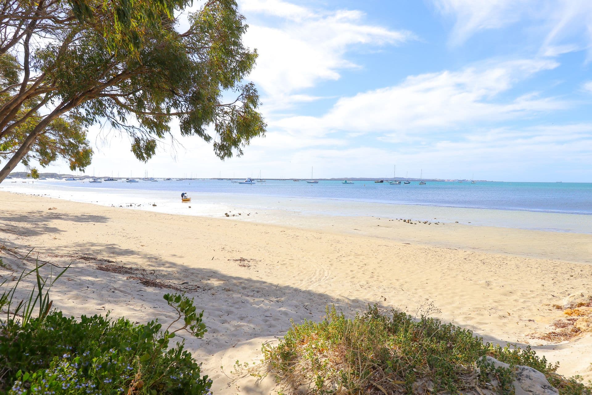 5/12 Harrison Street, Rockingham, WA, 6168, Rockingham - Thumbnail 2