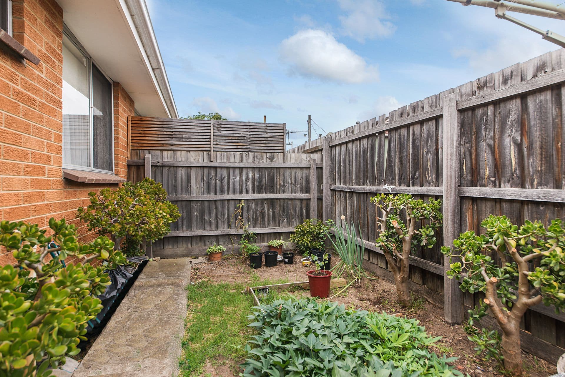 2/97 Bernard Street, Cheltenham, VIC, 3192, Cheltenham - Thumbnail 5