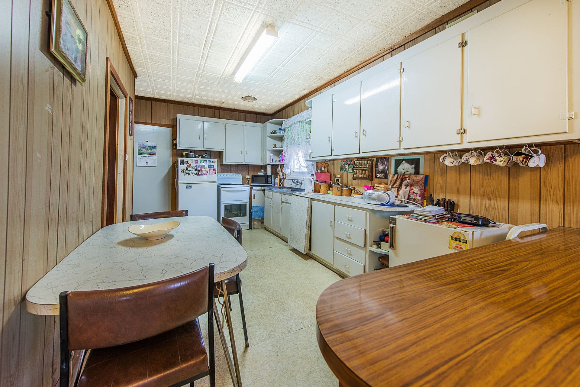 6 Harlington Street, Clayton, VIC, 3168, Clayton - Thumbnail 4
