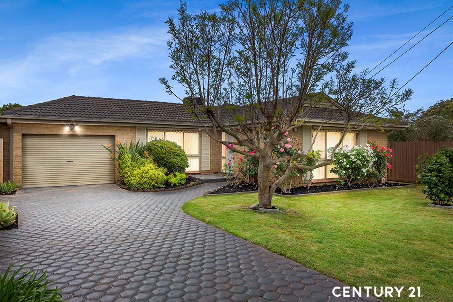 43 Tarago Crescent, Clayton South, VIC, 3169, Clayton South - Image 1