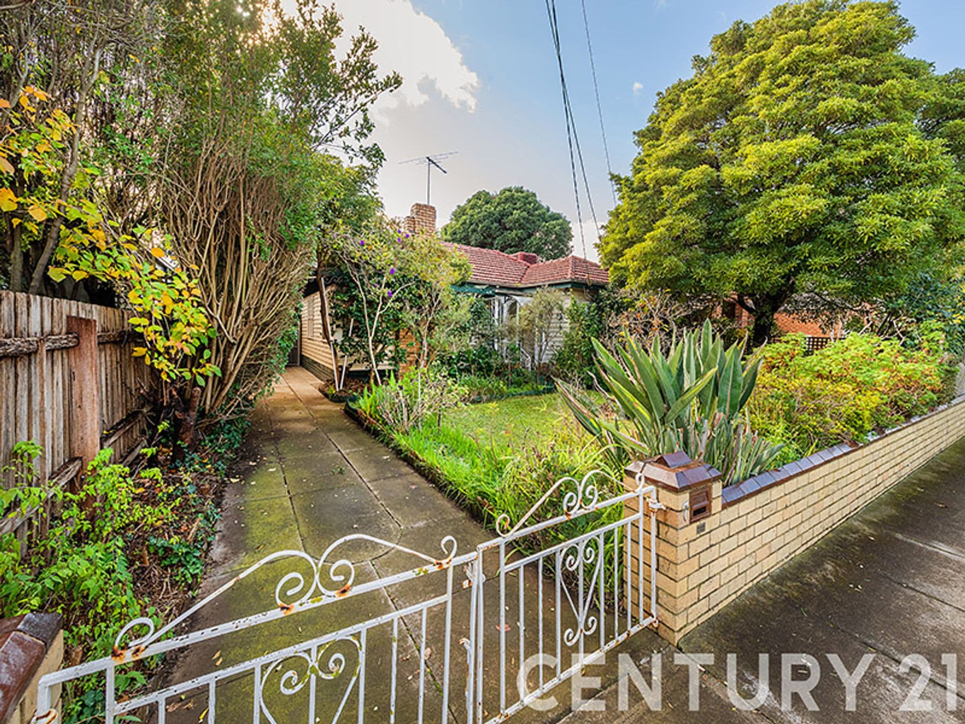 7 Gowrie Street, Bentleigh East, VIC, 3165, Bentleigh East - Thumbnail 3