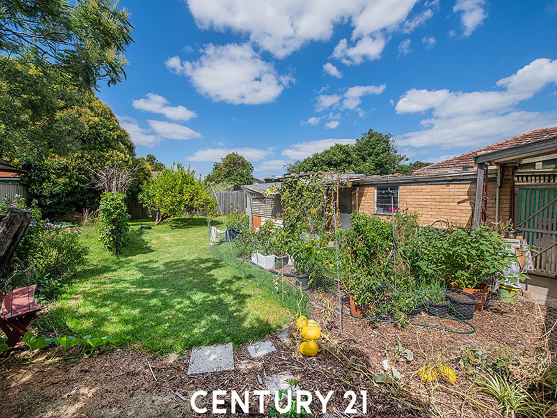 37 Grace Street, Springvale, VIC, 3171, Springvale - Thumbnail 4