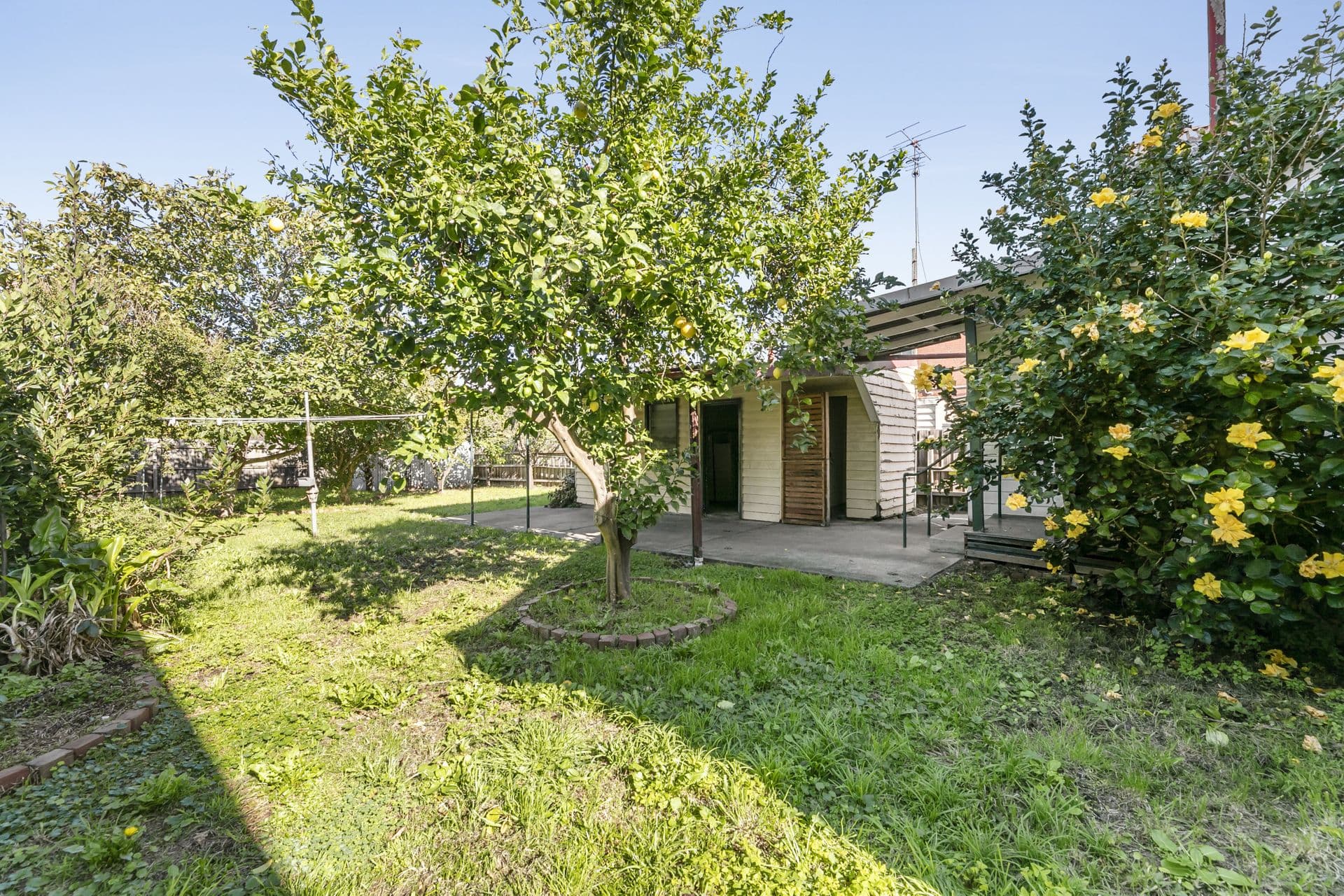 318 Albion Street, Brunswick, VIC, 3056, Brunswick - Thumbnail 6