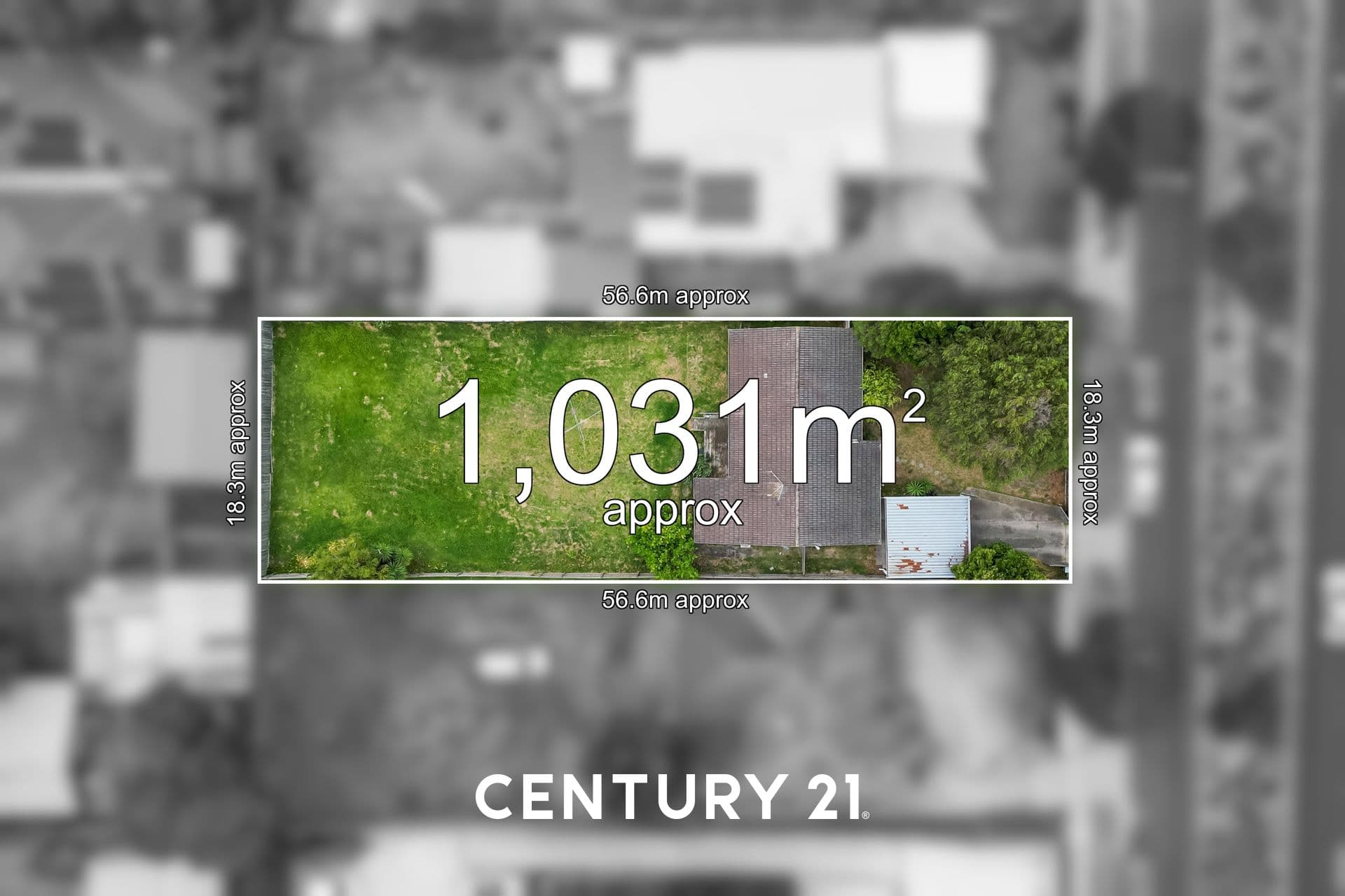 133 Frankston-Flinders Road, Frankston, VIC, 3199, Frankston - Thumbnail 2