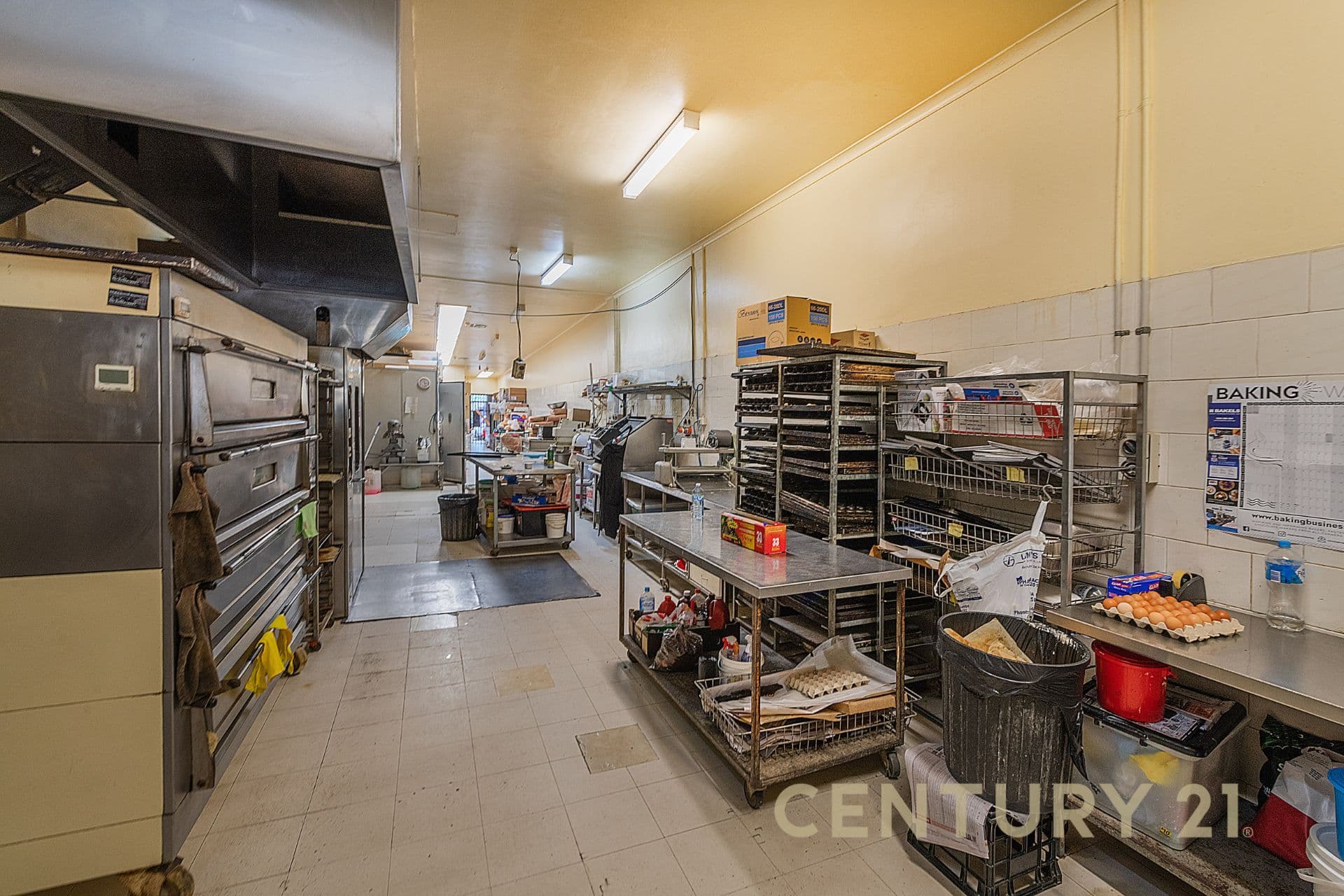 416 Nepean Highway, Chelsea, VIC, 3196, Chelsea - Thumbnail 4