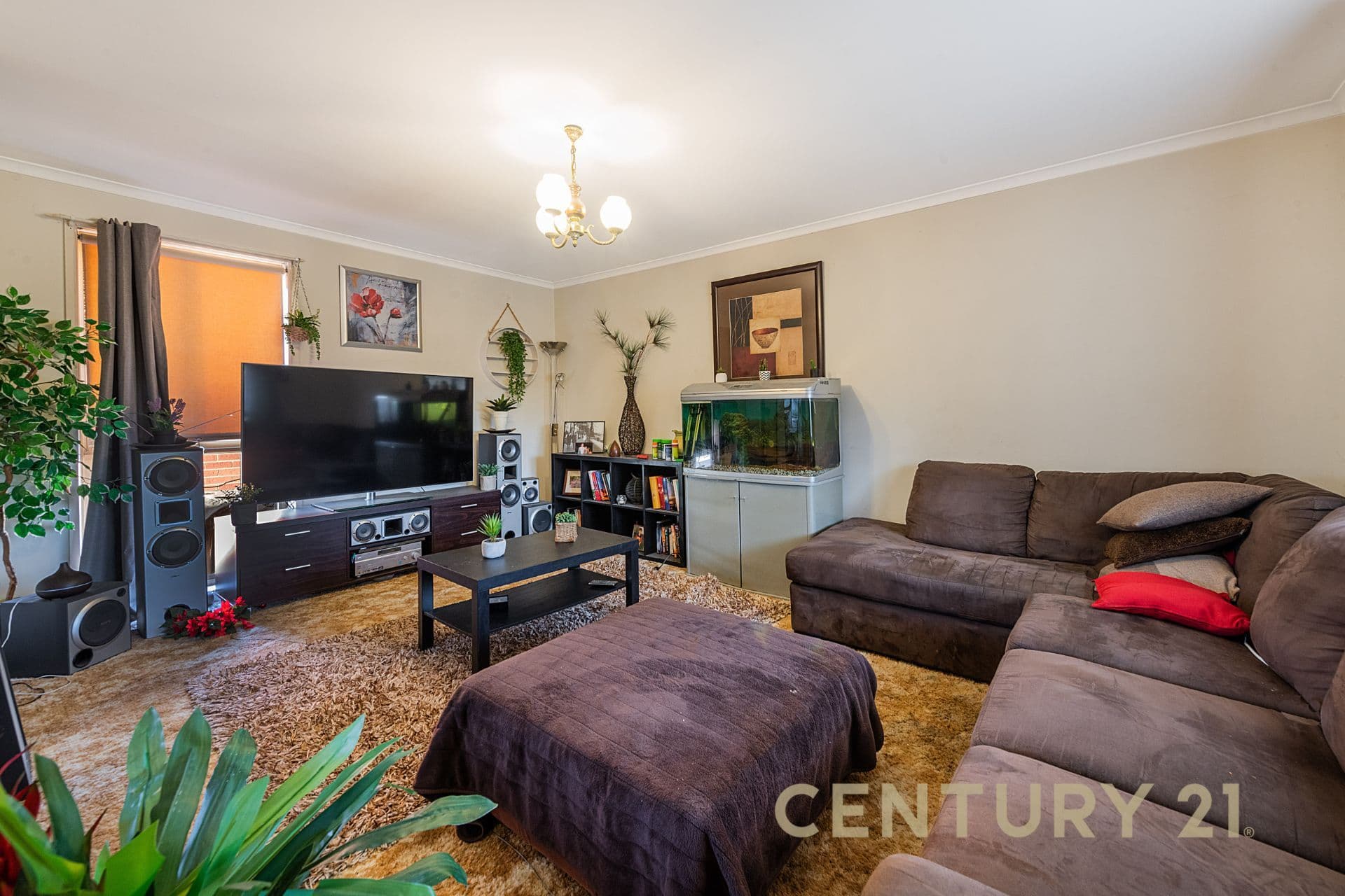 3/41 Kays Avenue, Hallam, VIC, 3803, Hallam - Thumbnail 2
