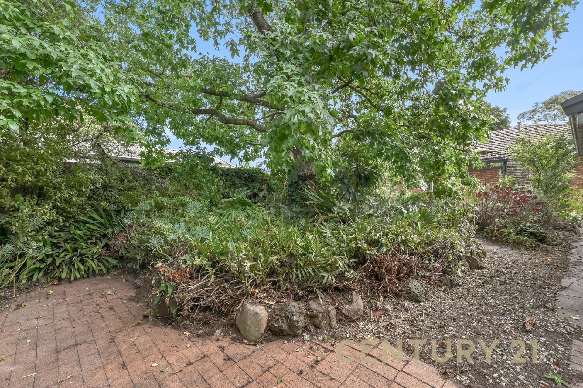 18 Carlton Road, Dandenong North, VIC, 3175, Dandenong North - Thumbnail 5