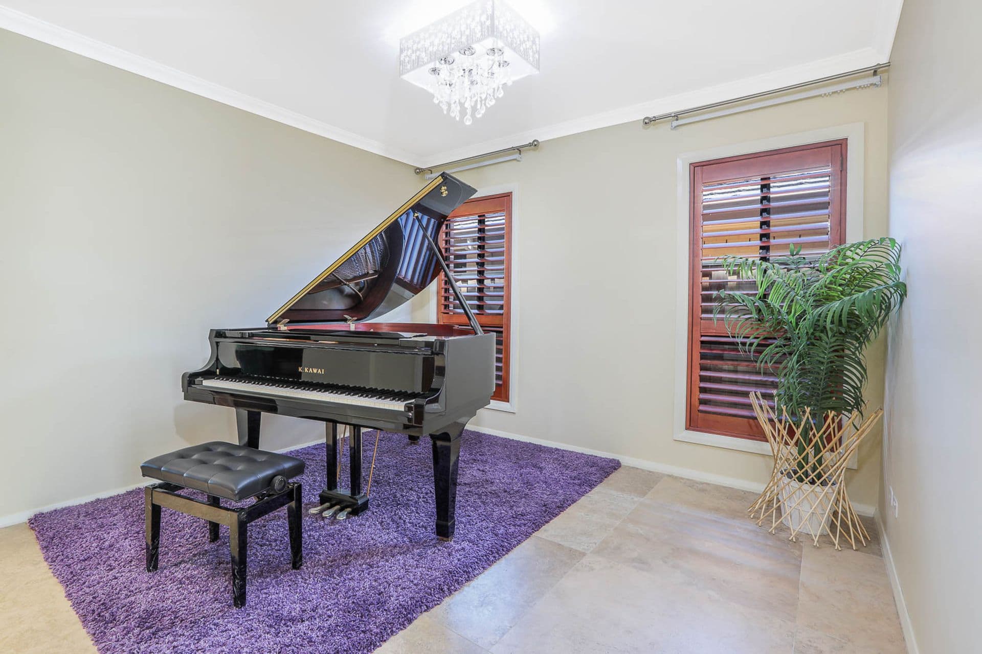 16 Capertee Street, The Ponds, NSW, 2769, The Ponds - Thumbnail 5