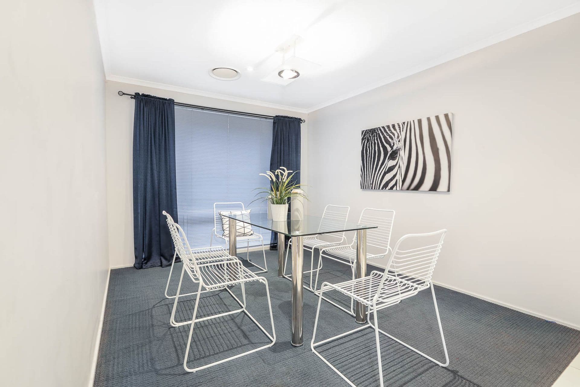 3 Alfred Place, Quakers Hill, NSW, 2763, Quakers Hill - Thumbnail 3