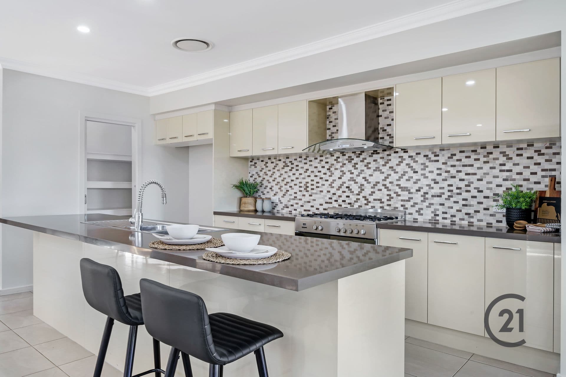 229 The Ponds Boulevard, The Ponds, NSW, 2769, The Ponds - Thumbnail 3