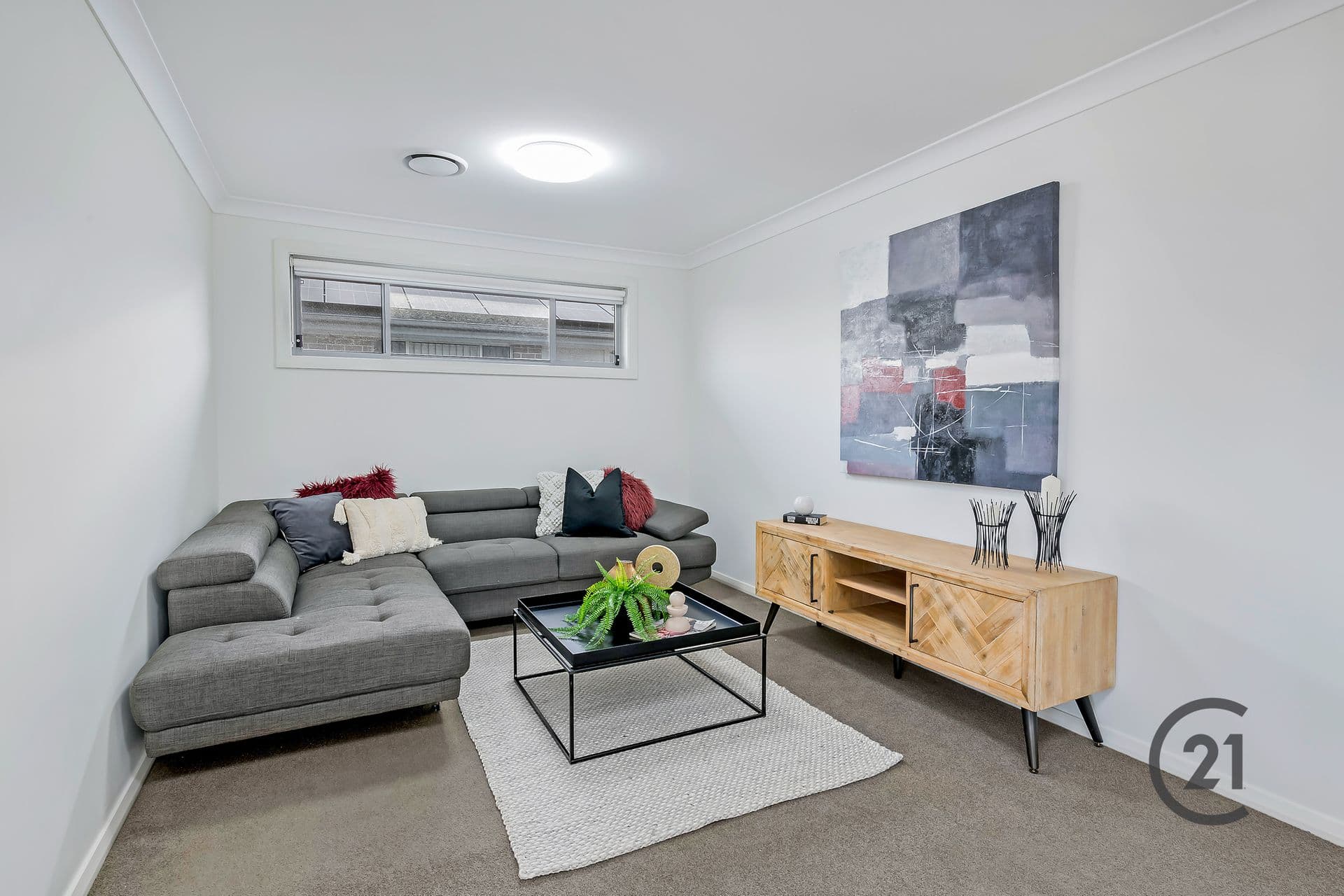 24 Carney Crescent, Schofields, NSW, 2762, Tallawong - Thumbnail 8