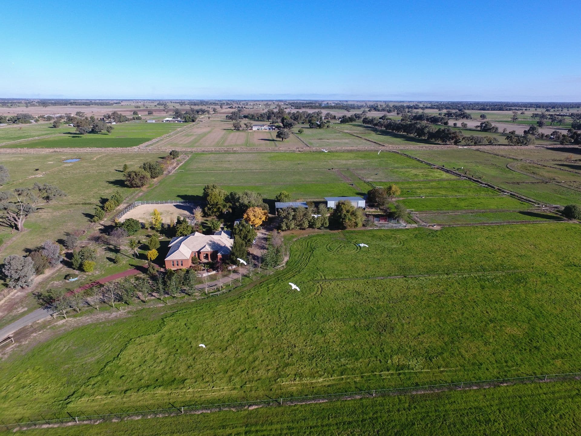 458 Mitchell Road, Echuca, VIC, 3564, Echuca Village - Thumbnail 2