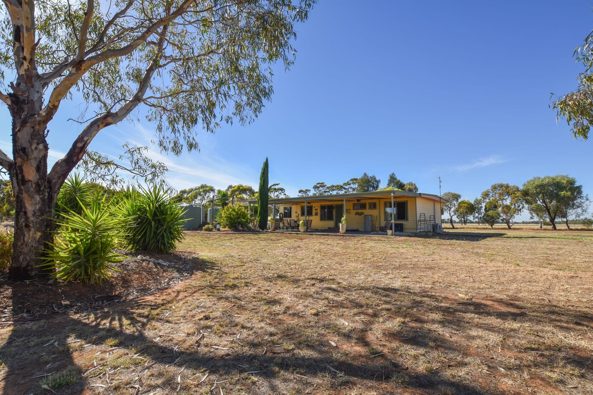 1234 Mount Terrick Road, Echuca, VIC, 3564, Wharparilla - Image 1