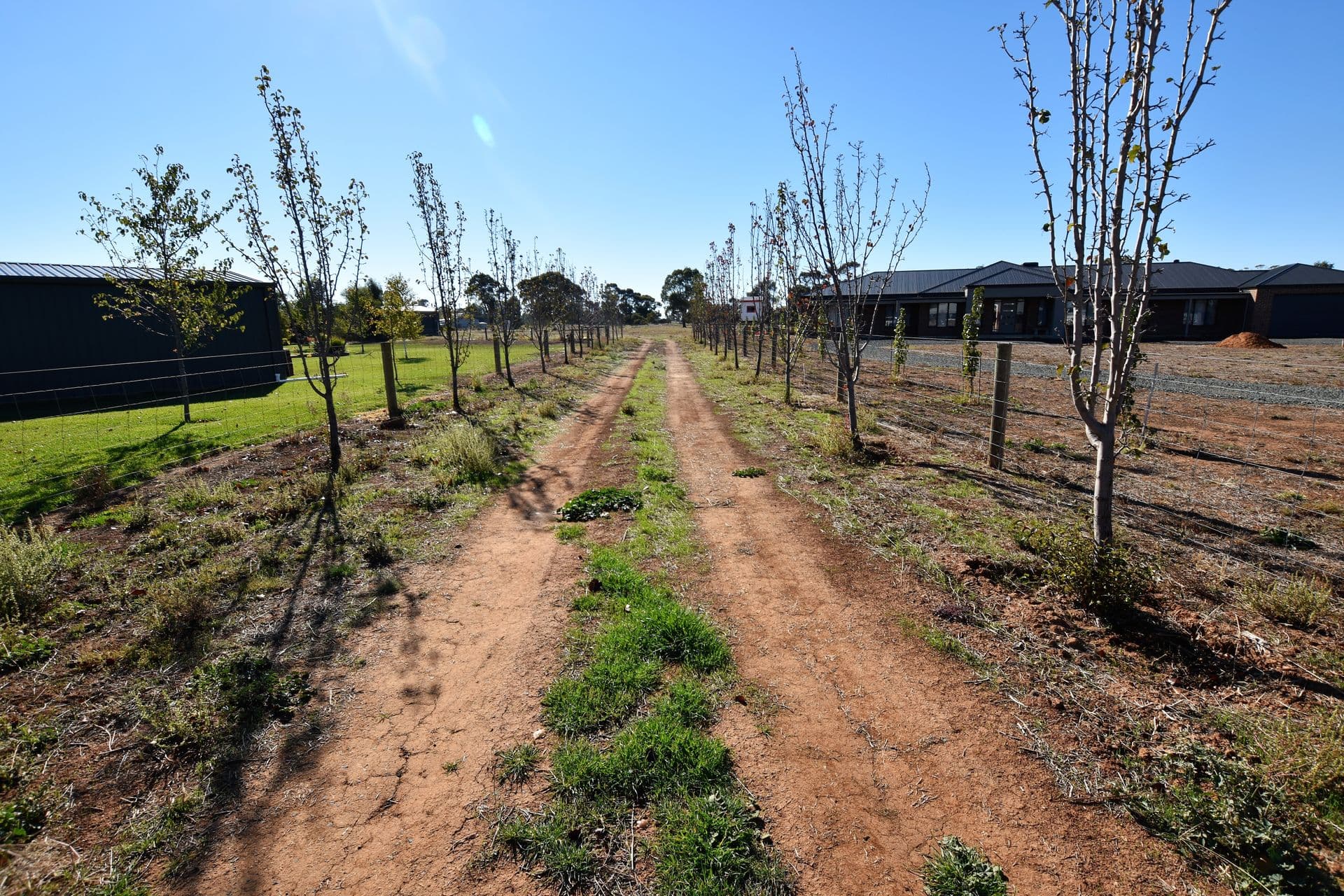 47 Pinerate Place, Echuca, VIC, 3564, Echuca - Thumbnail 7
