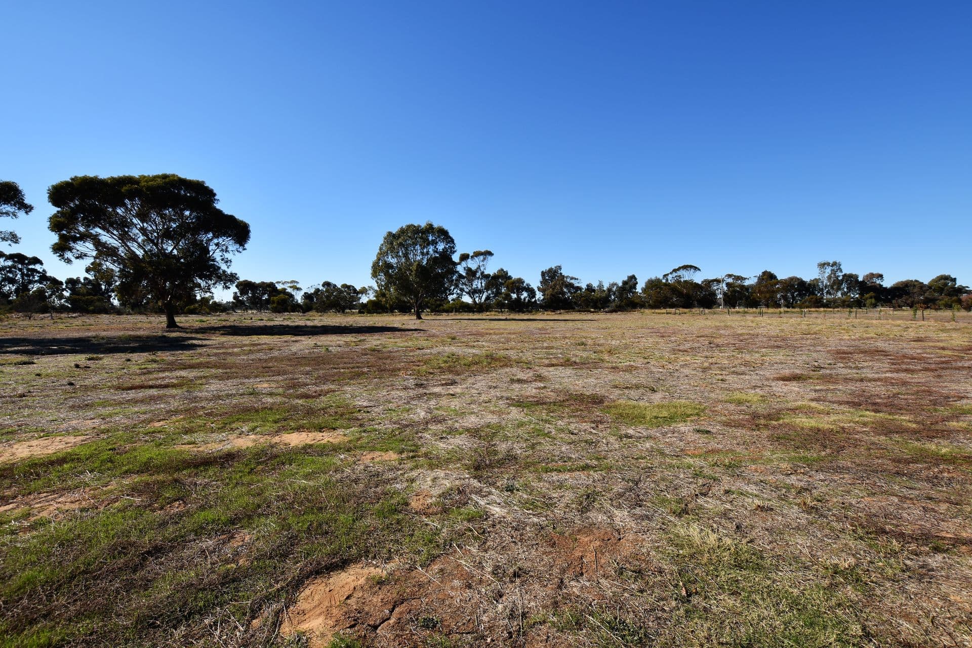 47 Pinerate Place, Echuca, VIC, 3564, Echuca - Thumbnail 8
