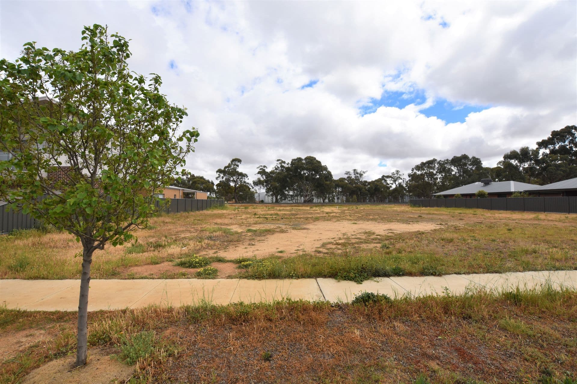 52 Shaw Street, Moama, NSW, 2731, Moama - Thumbnail 2