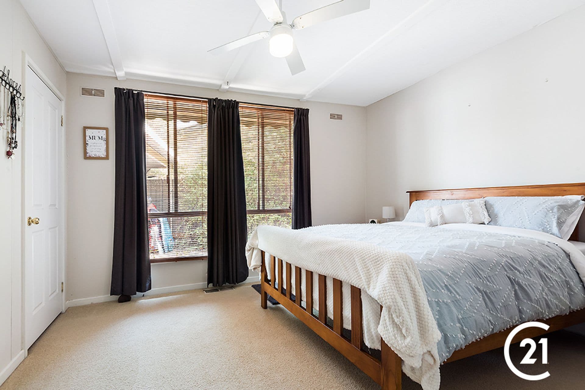 17 Martin Street, Moama, NSW, 2731, Moama - Thumbnail 8