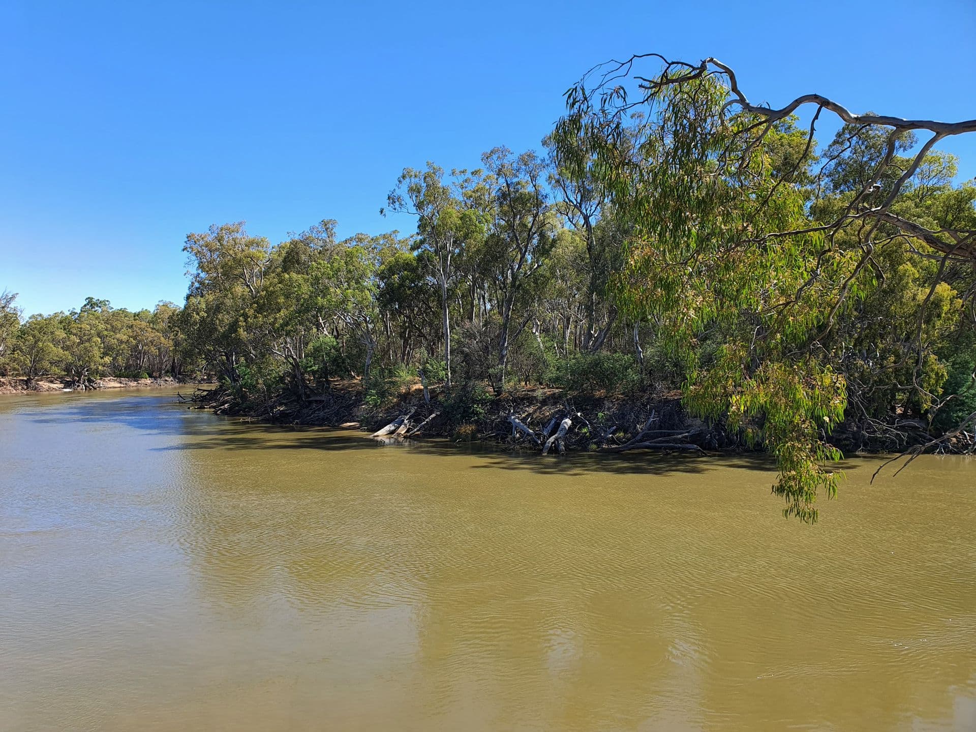 7 Cormorant Street, Moama, NSW, 2731, Moama - Thumbnail 3
