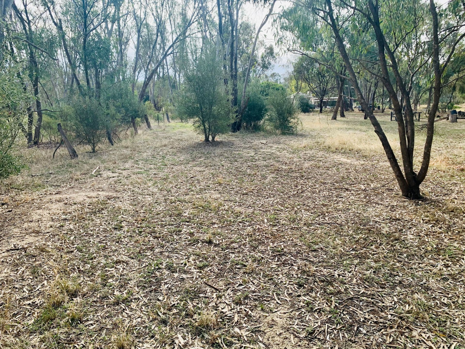 52 Radcliffe Street, Echuca, VIC, 3564, Echuca - Image 1