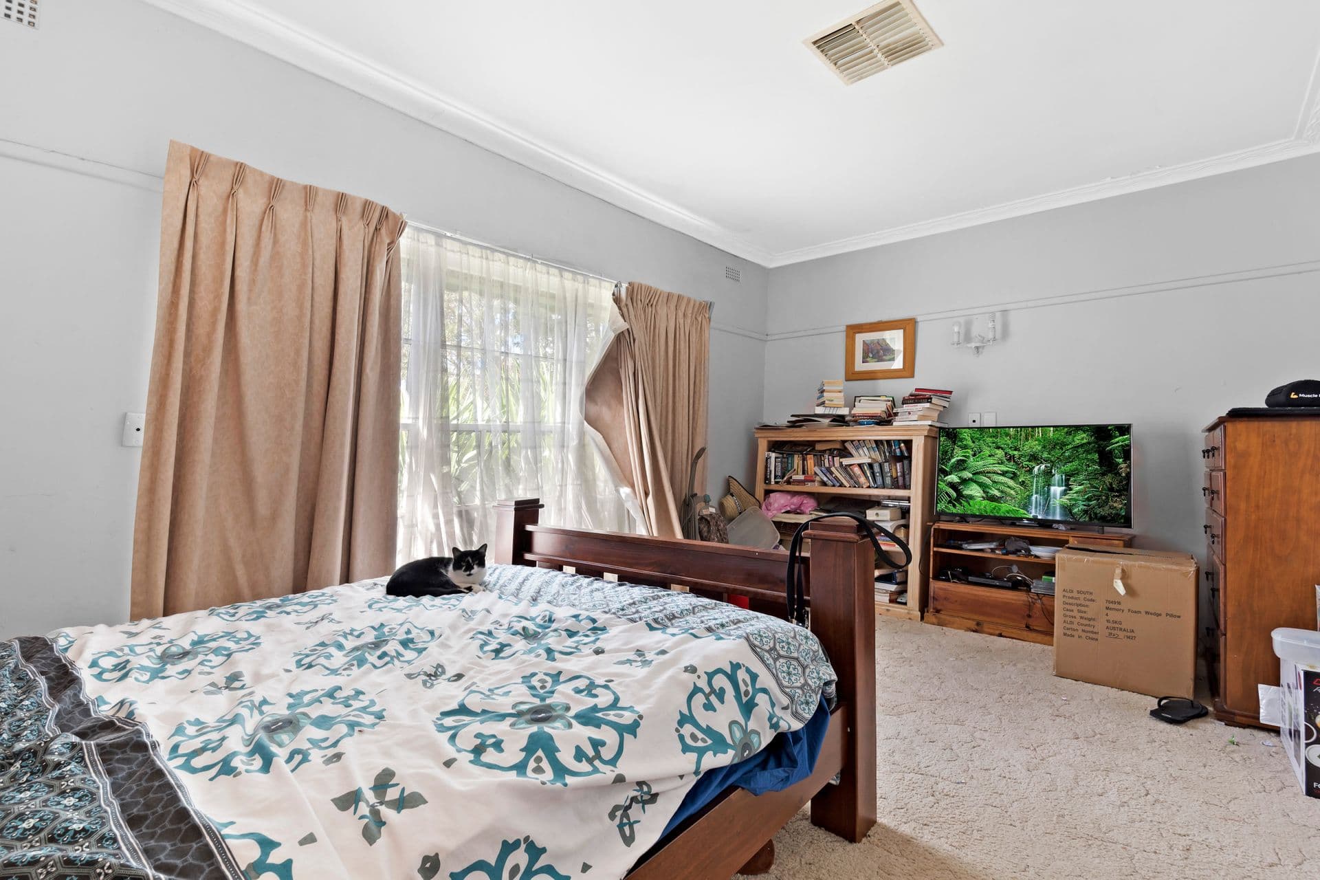 3 Haverfield Street, Echuca, VIC, 3564, Echuca - Thumbnail 5