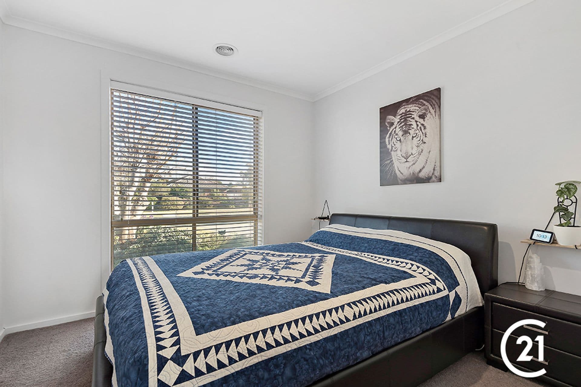 25 Jacana Avenue, Moama, NSW, 2731, Moama - Thumbnail 5