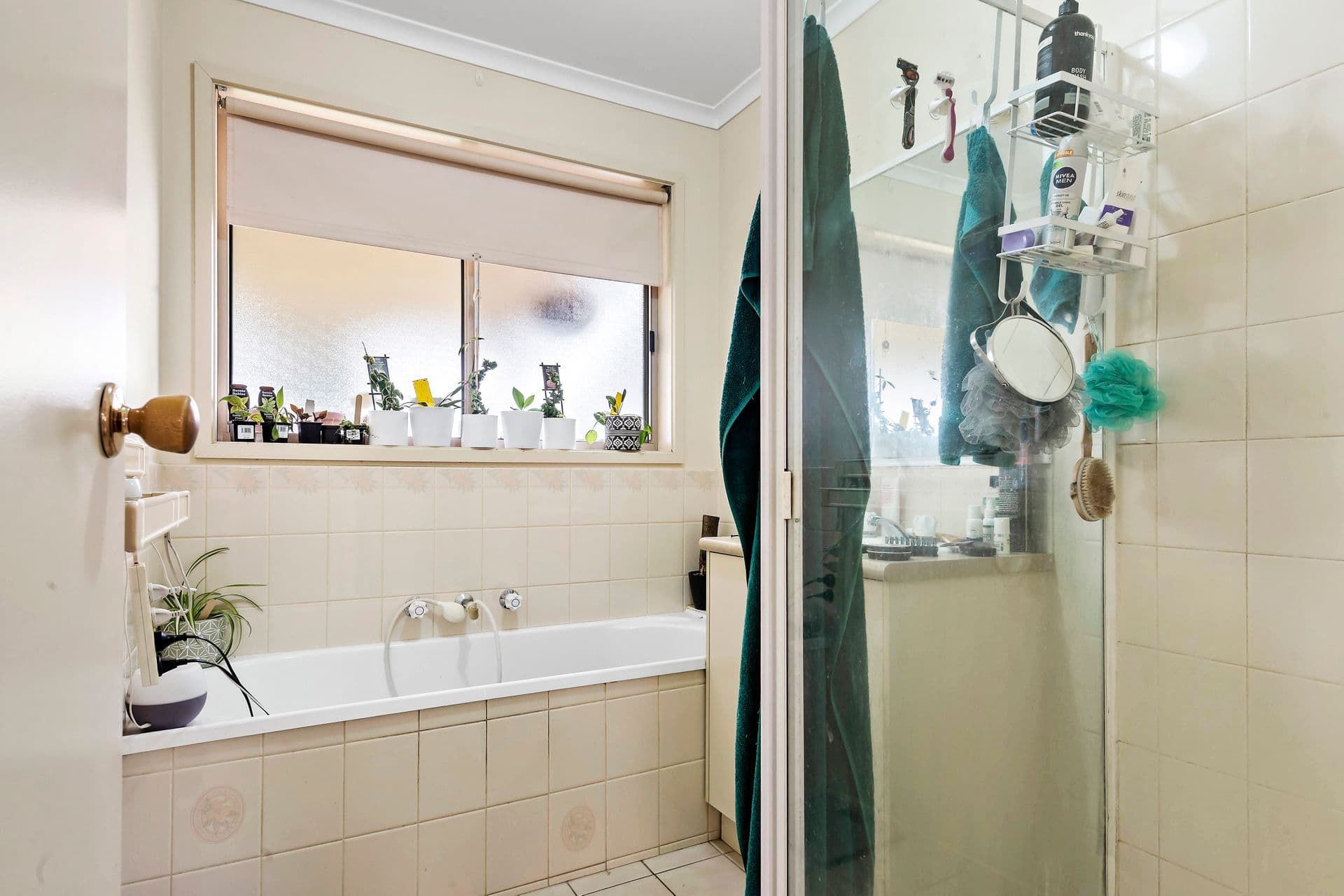 2 McLaren Drive, Moama, NSW, 2731, Moama - Thumbnail 4
