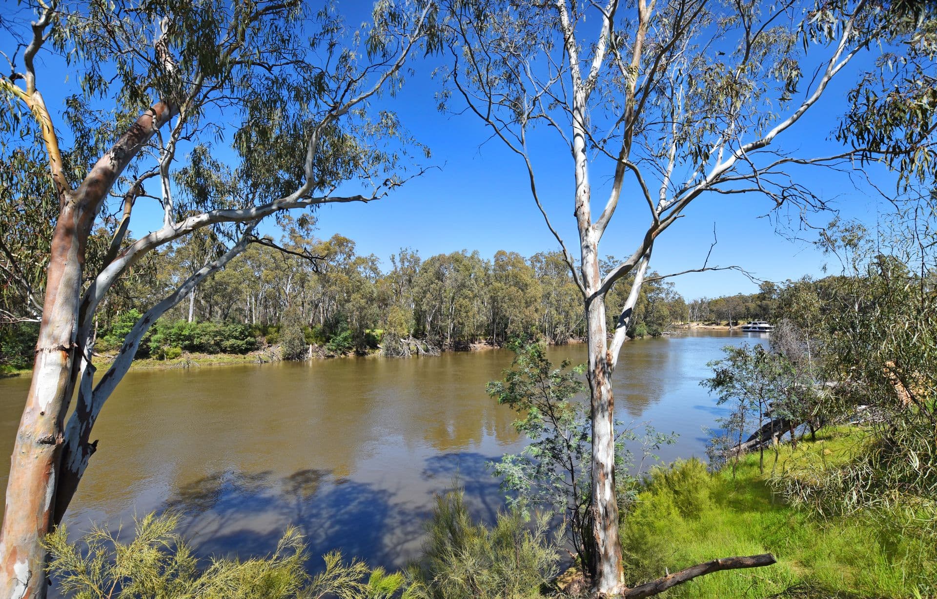 10 Holmes Street, Moama, NSW, 2731, Moama - Thumbnail 5