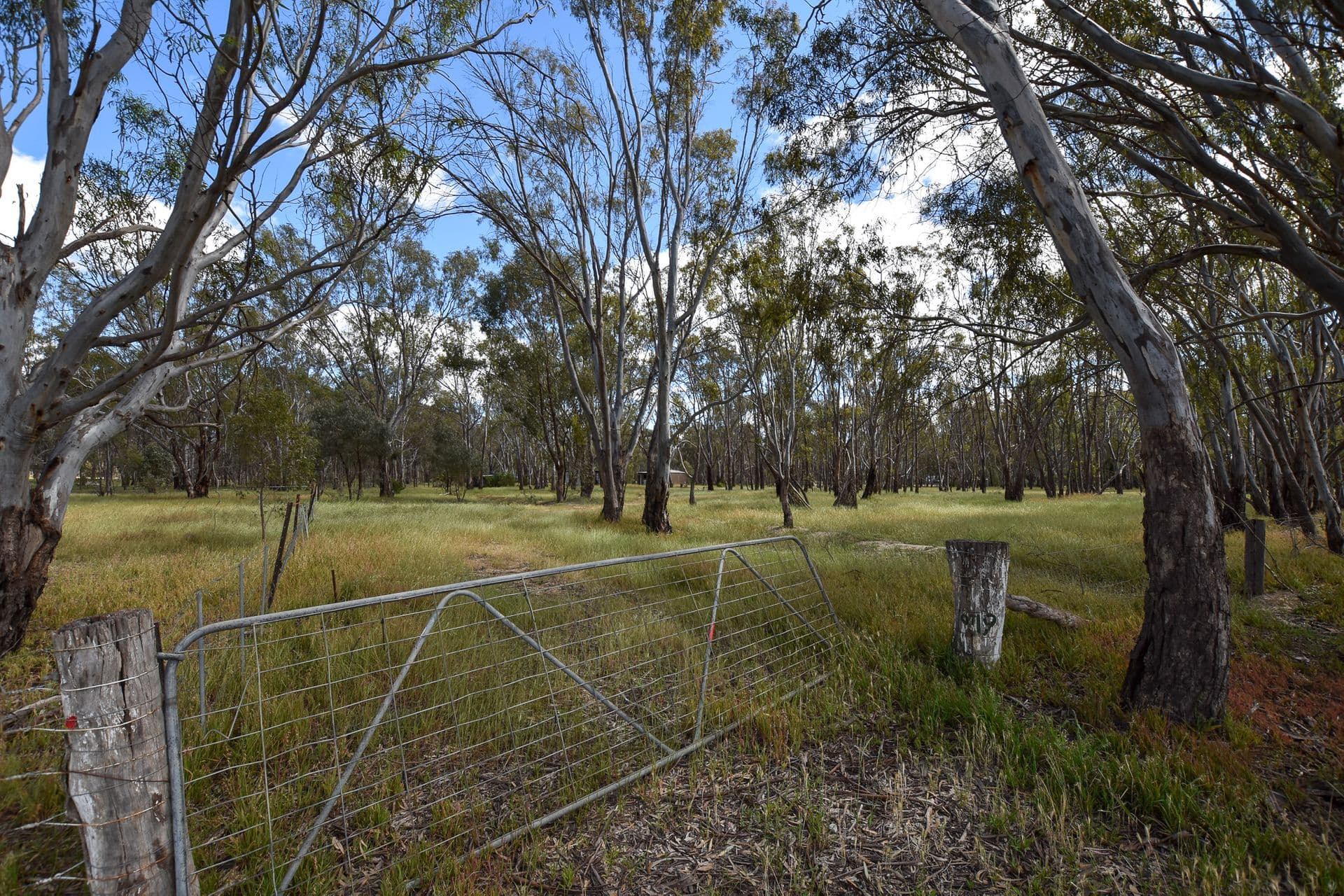 Lot 19 Moorabinda Road, Wharparilla, VIC, 3564, Wharparilla - Thumbnail 8