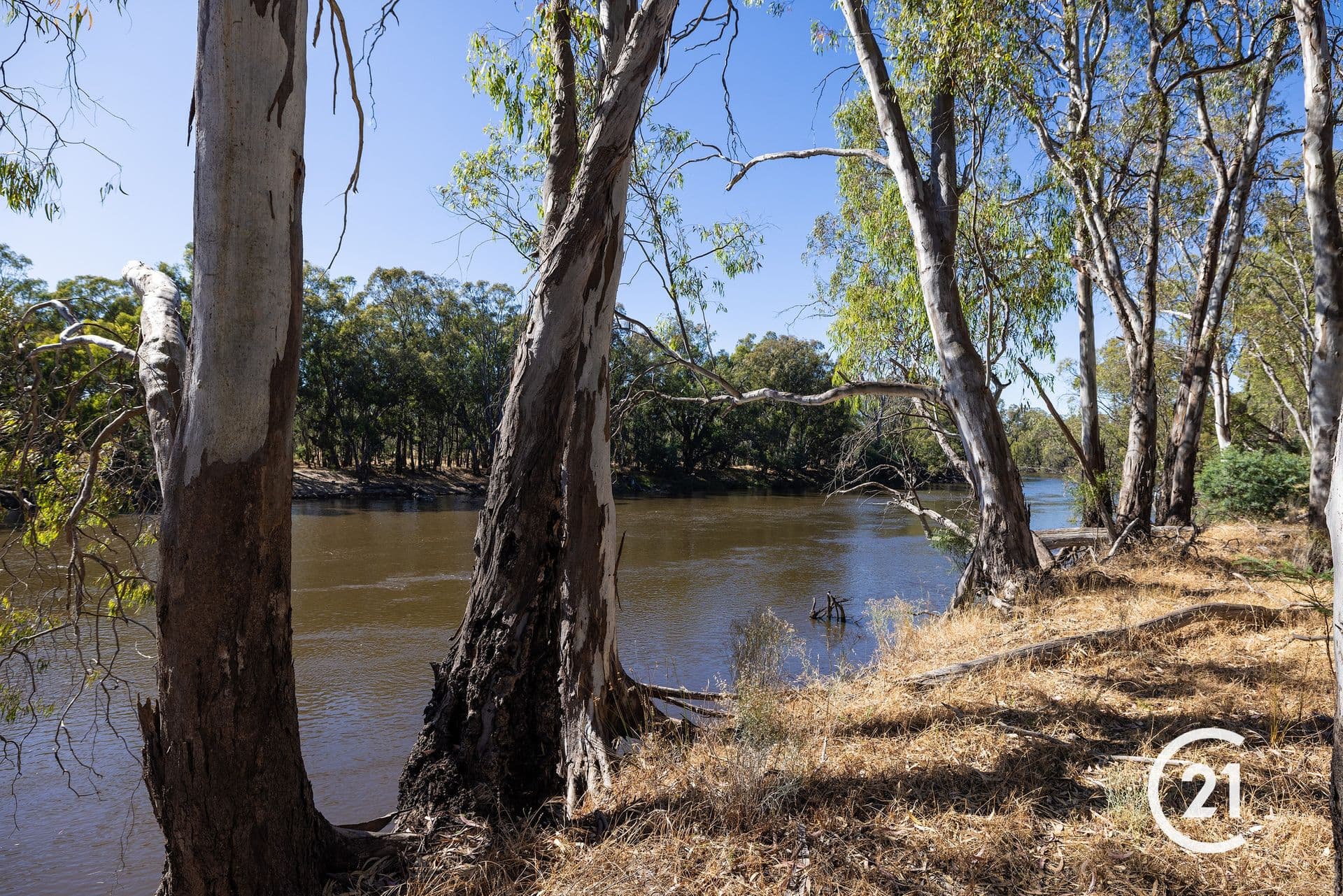 Lot 2 320 O'dwyer Road, Echuca, VIC, 3564, Echuca - Thumbnail 8