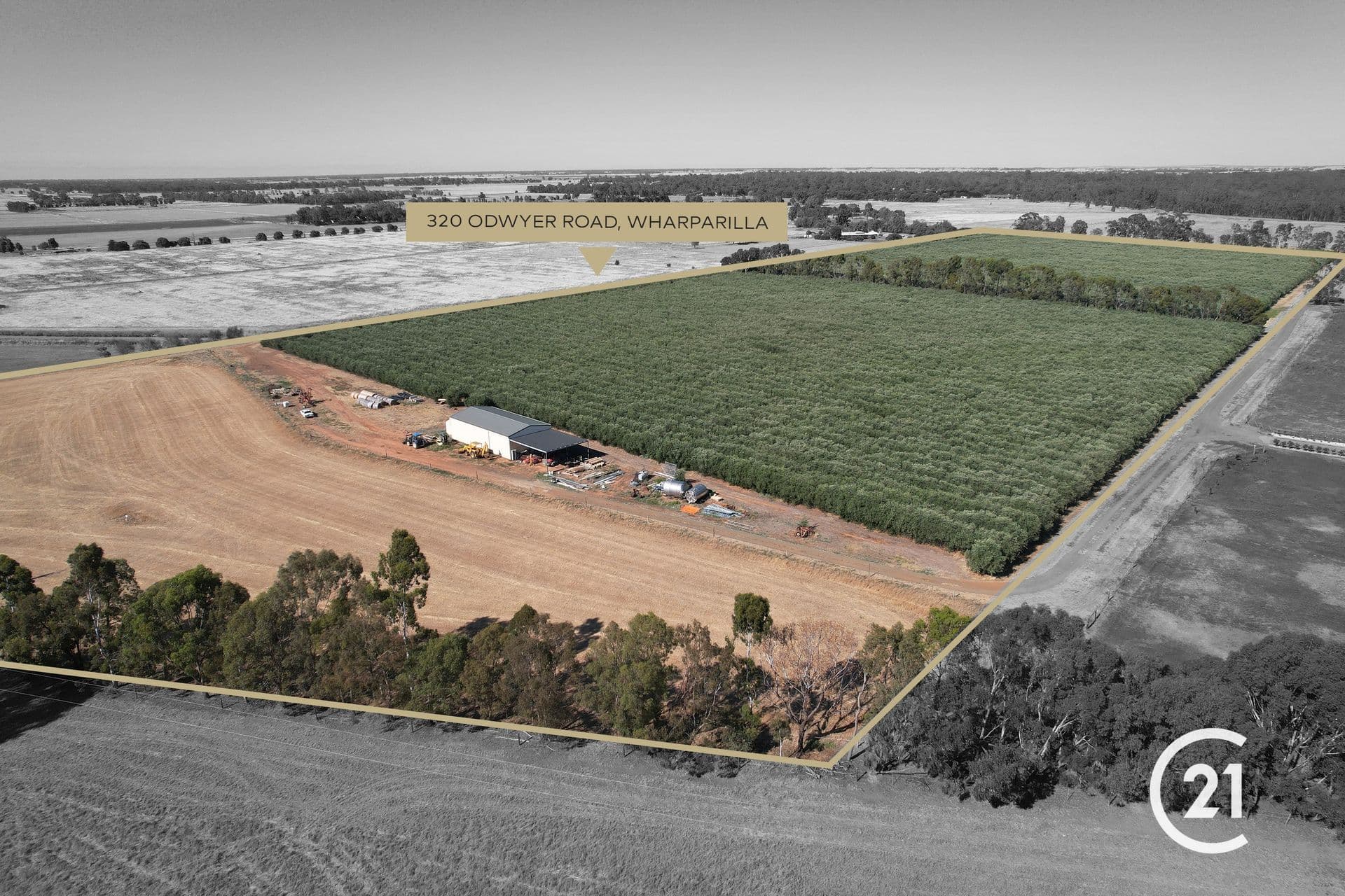Lot 2 320 O'dwyer Road, Echuca, VIC, 3564, Echuca - Thumbnail 3