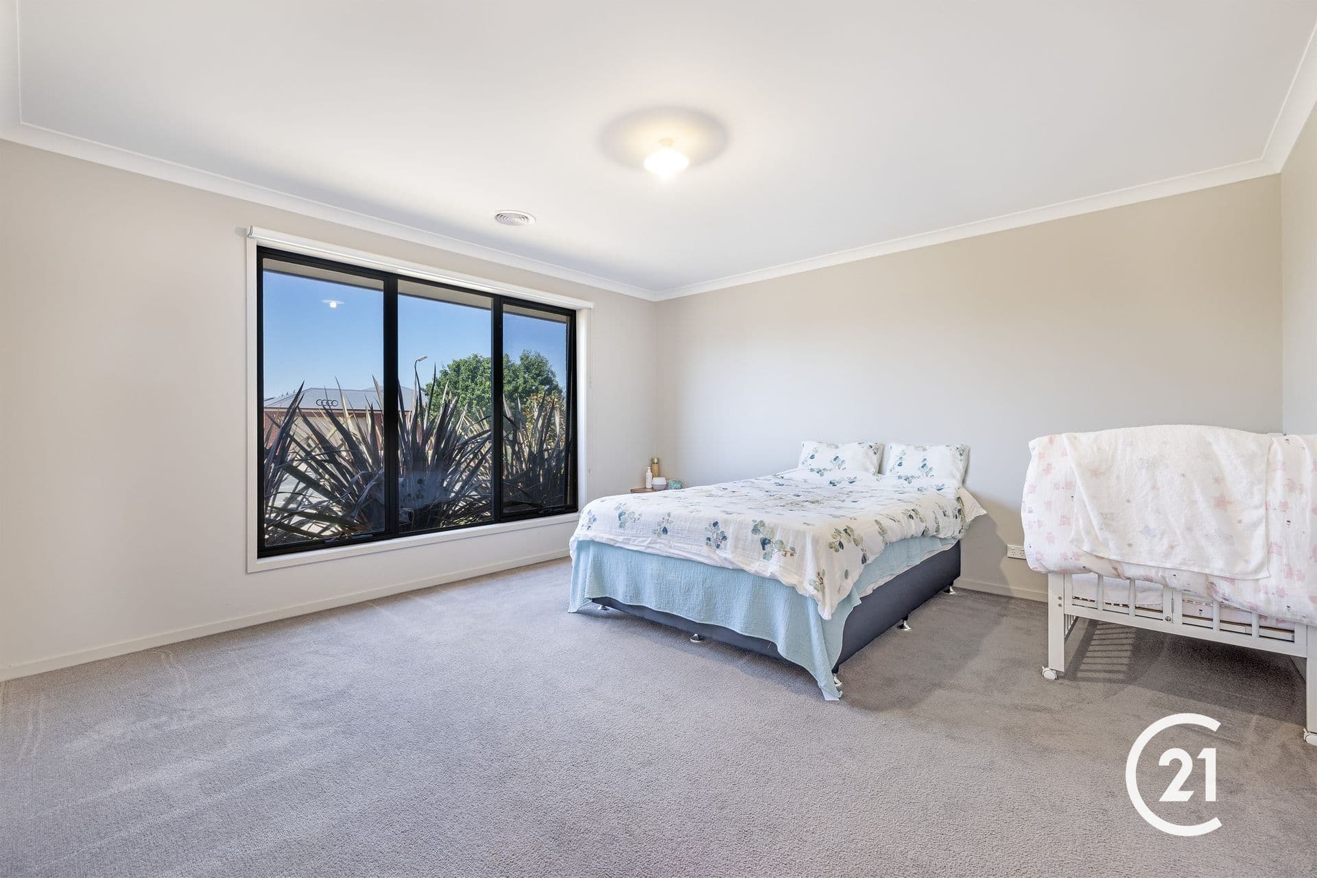 64 Mcswain Road, Echuca, VIC, 3564, Echuca - Thumbnail 2