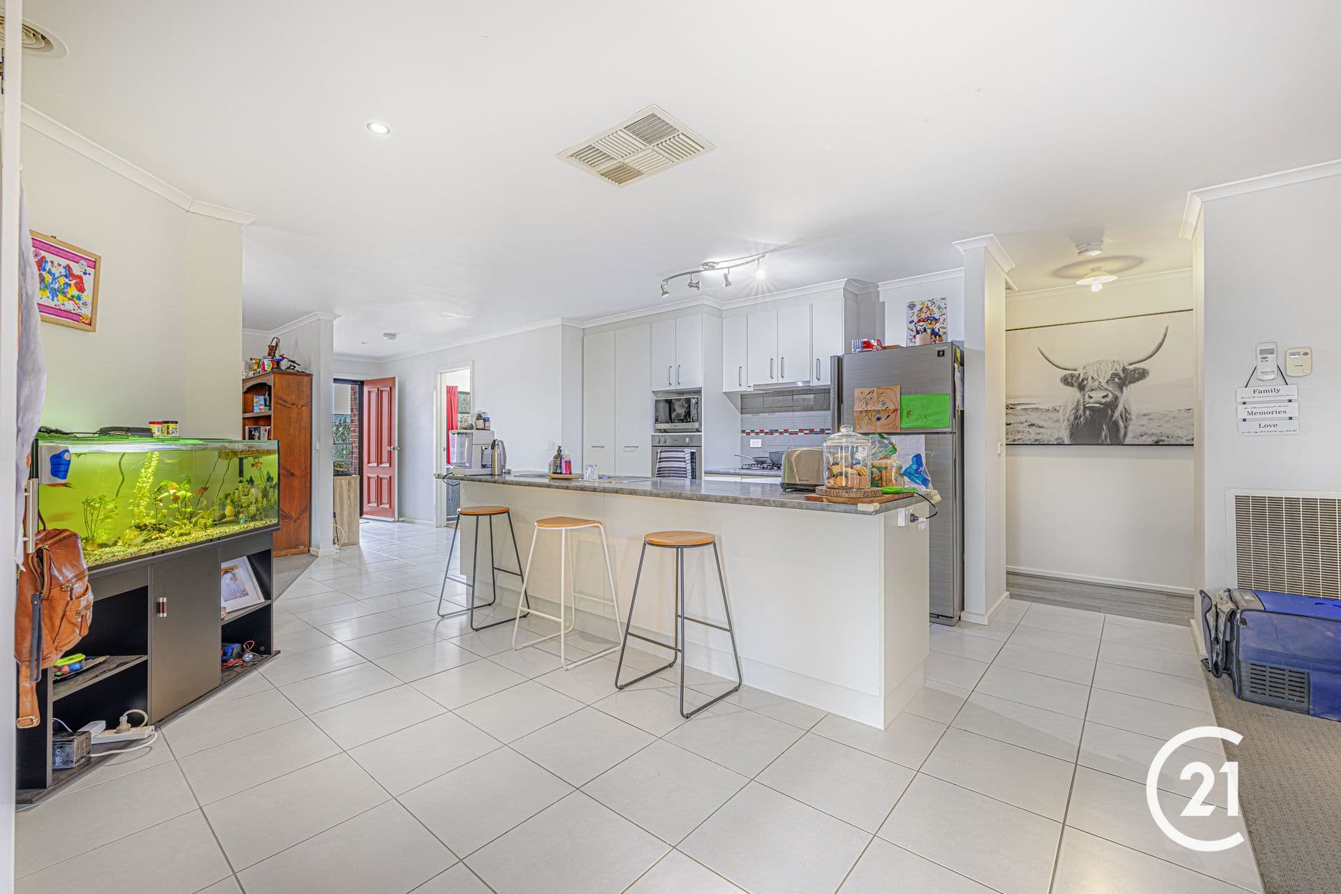 3 Struve Court, Echuca, VIC, 3564, Echuca - Thumbnail 2