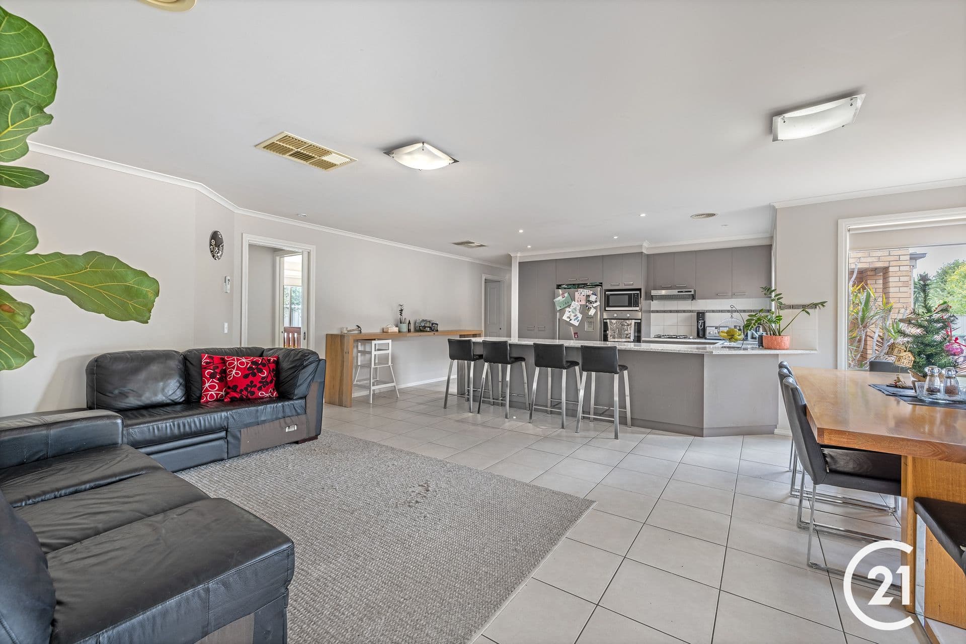 14 Skye Avenue, Moama, NSW, 2731, Moama - Thumbnail 2